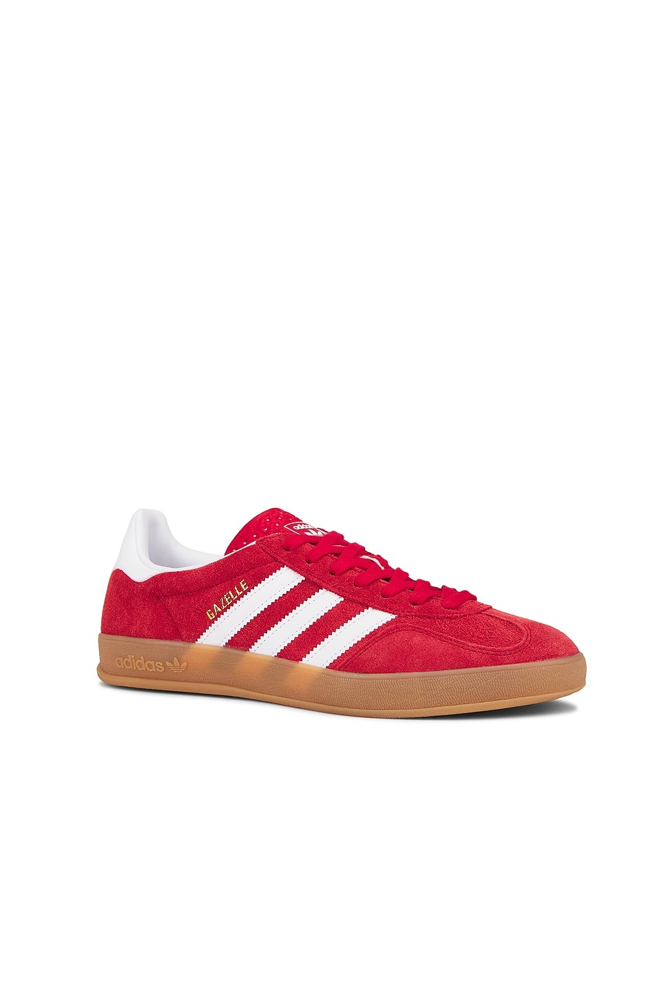Gazelle Indoor - 2