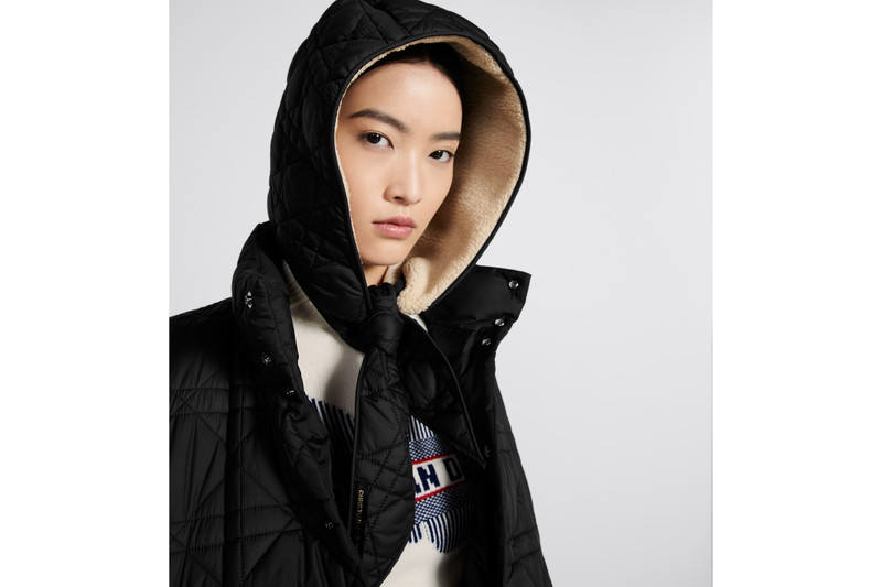 Dior D-Motion Hood outlook