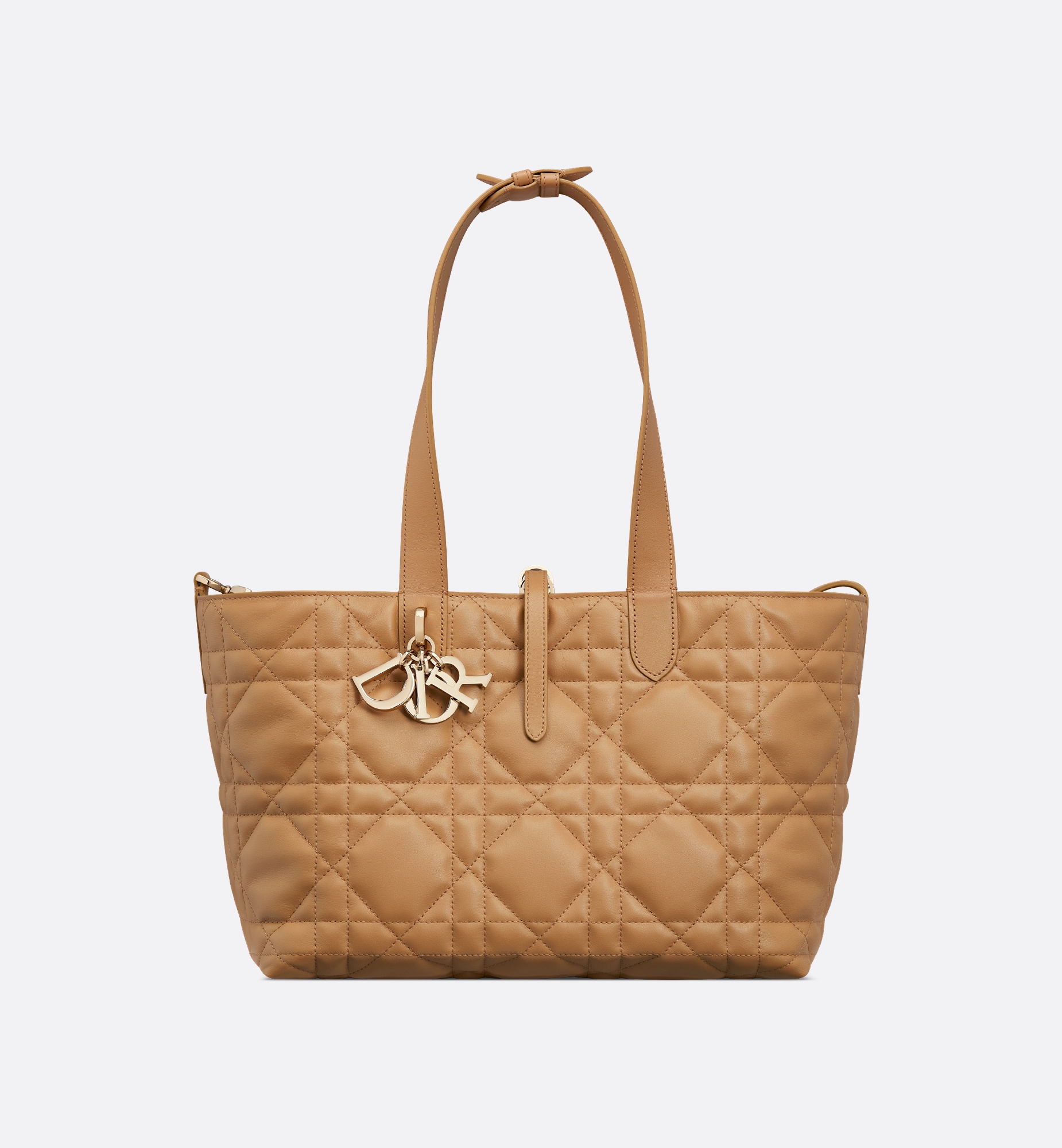 Dior Medium Dior Toujours Bag | REVERSIBLE