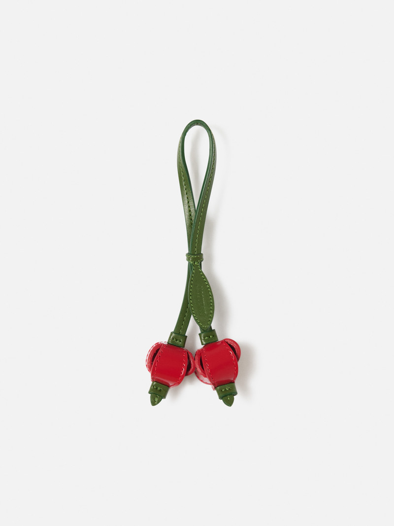 The cherries 1