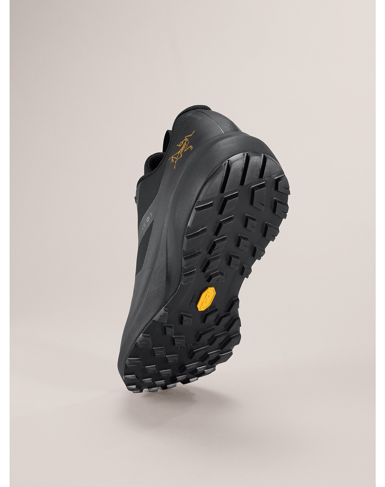 Norvan LD 3 GTX Shoe - 4