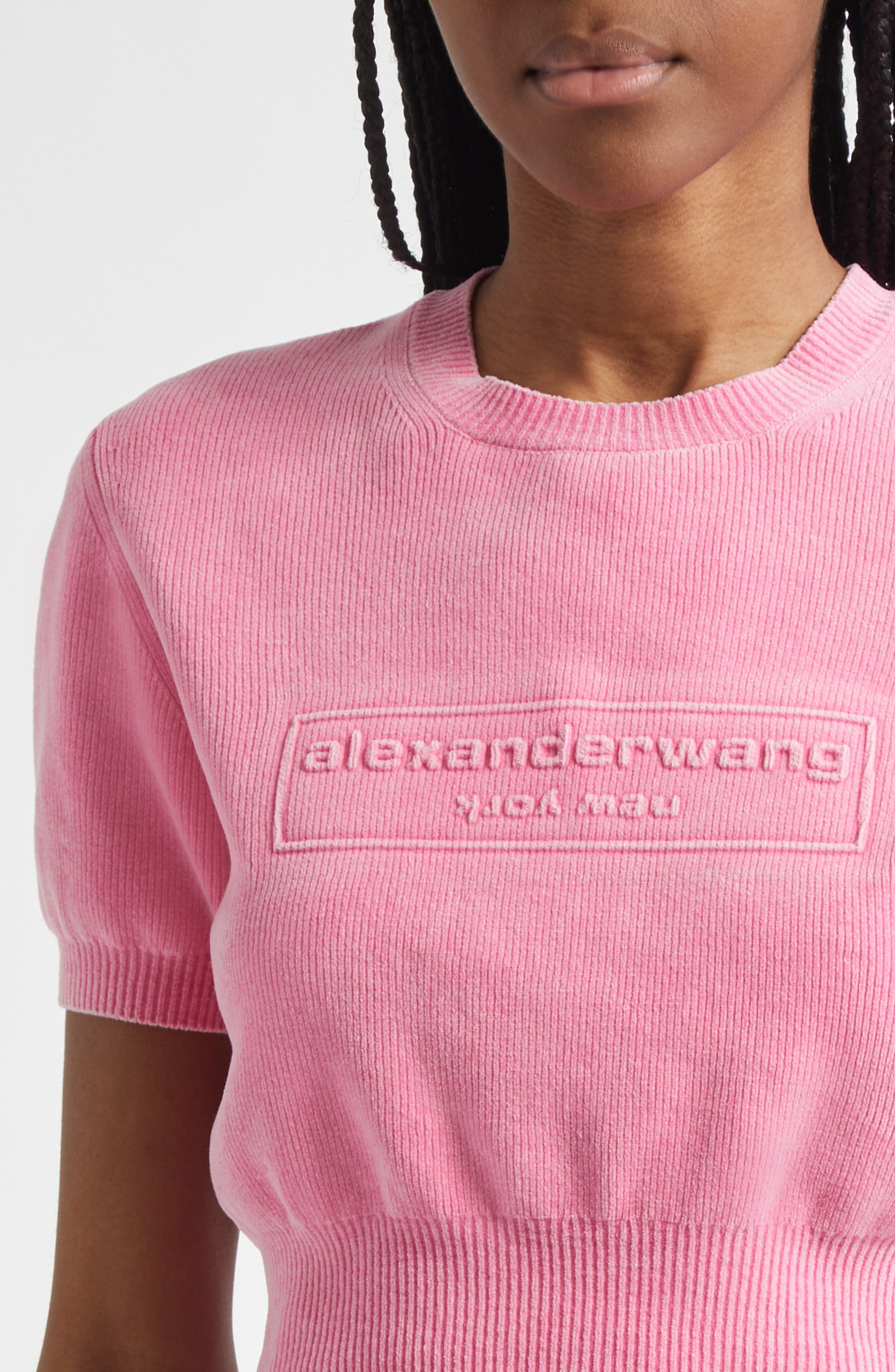 Alexander Wang Logo Short Sleeve Chenille Crop Sweater in Washed Lotus at Nordstrom - 5