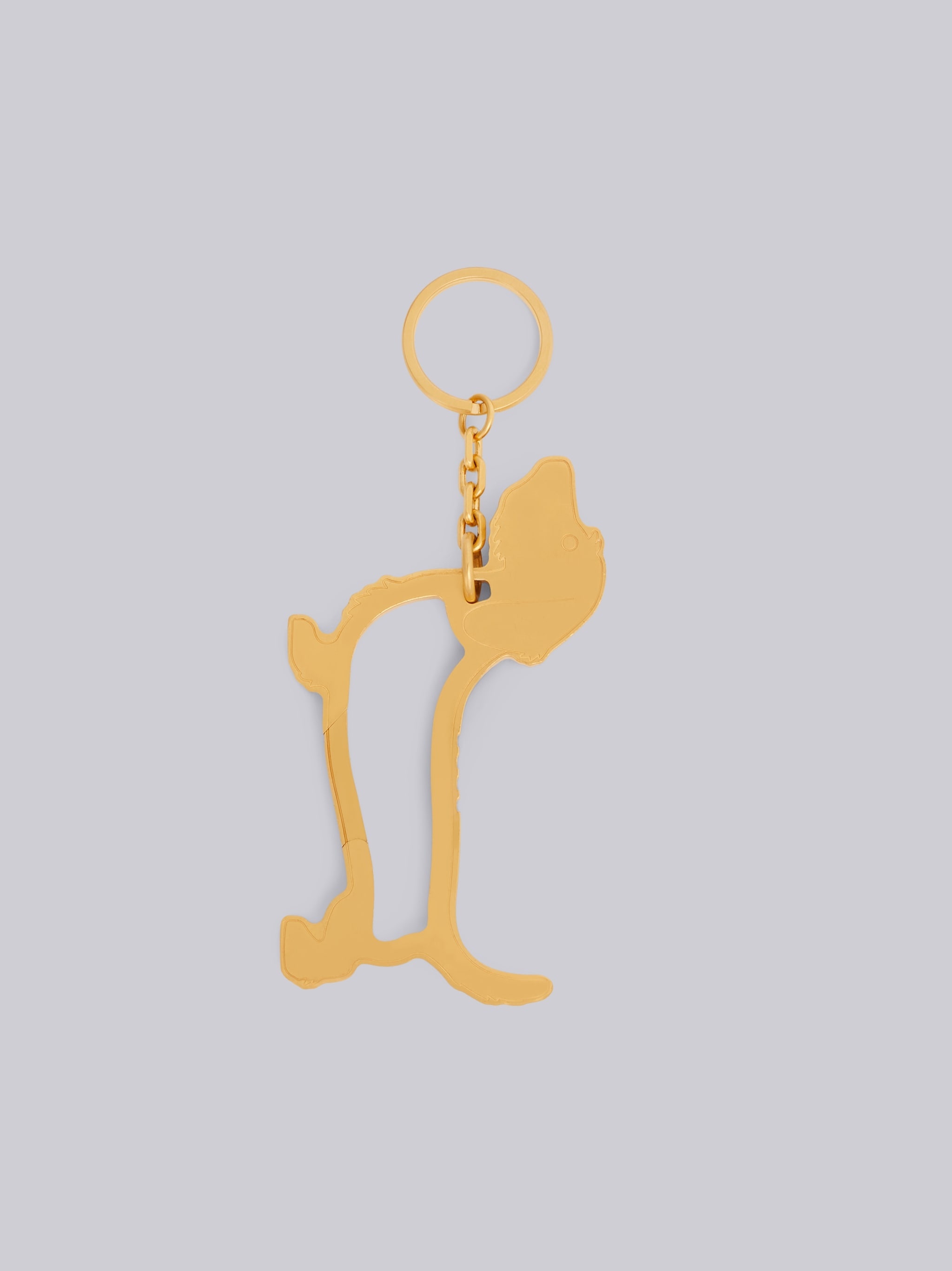 Hector Icon Carabiner - 1