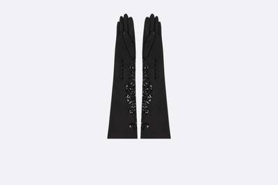 Dior Ornamental Long Gloves outlook