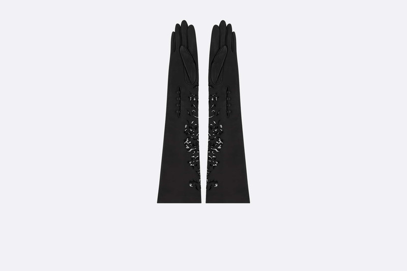Dior Ornamental Long Gloves outlook