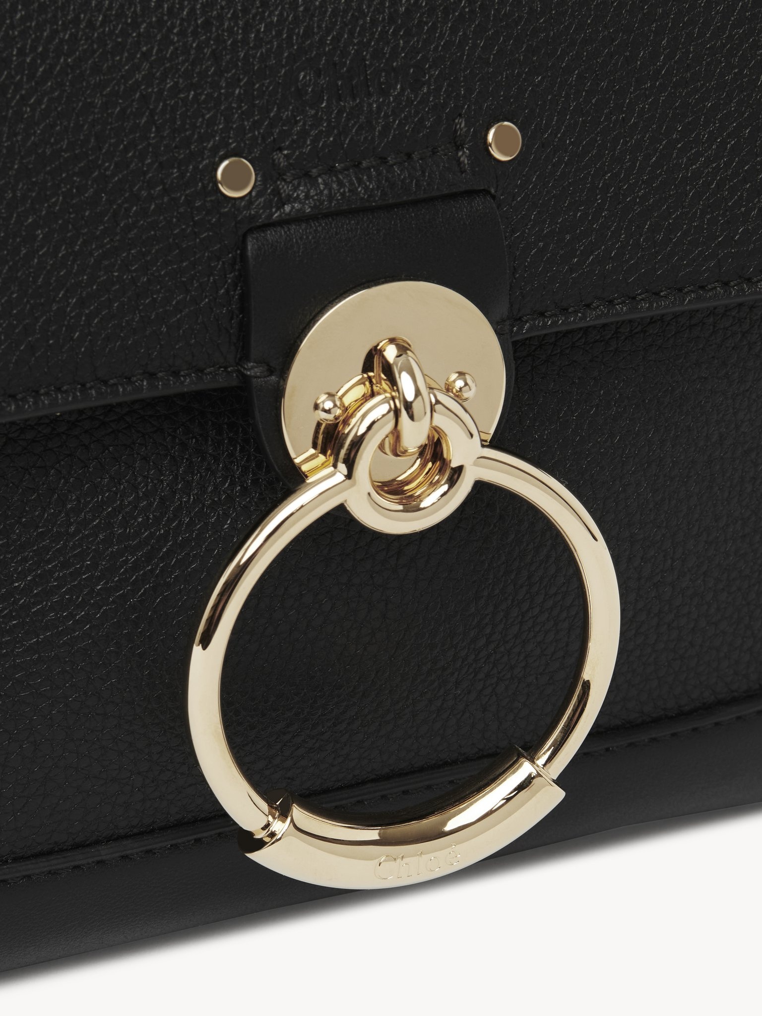 MINI TESS DAY BAG IN GRAINED & SOFT LEATHER - 3