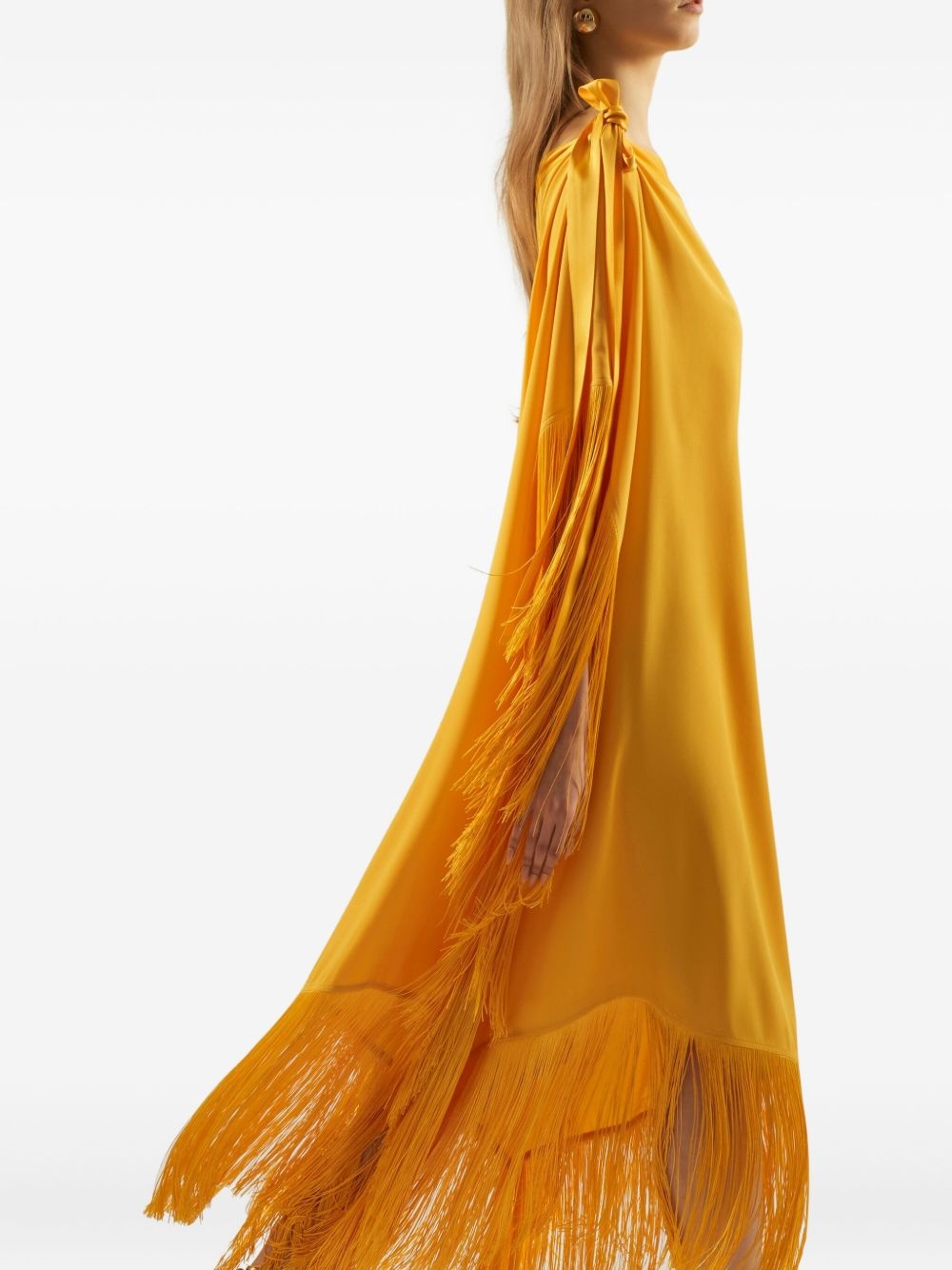 Aarons dress - 4