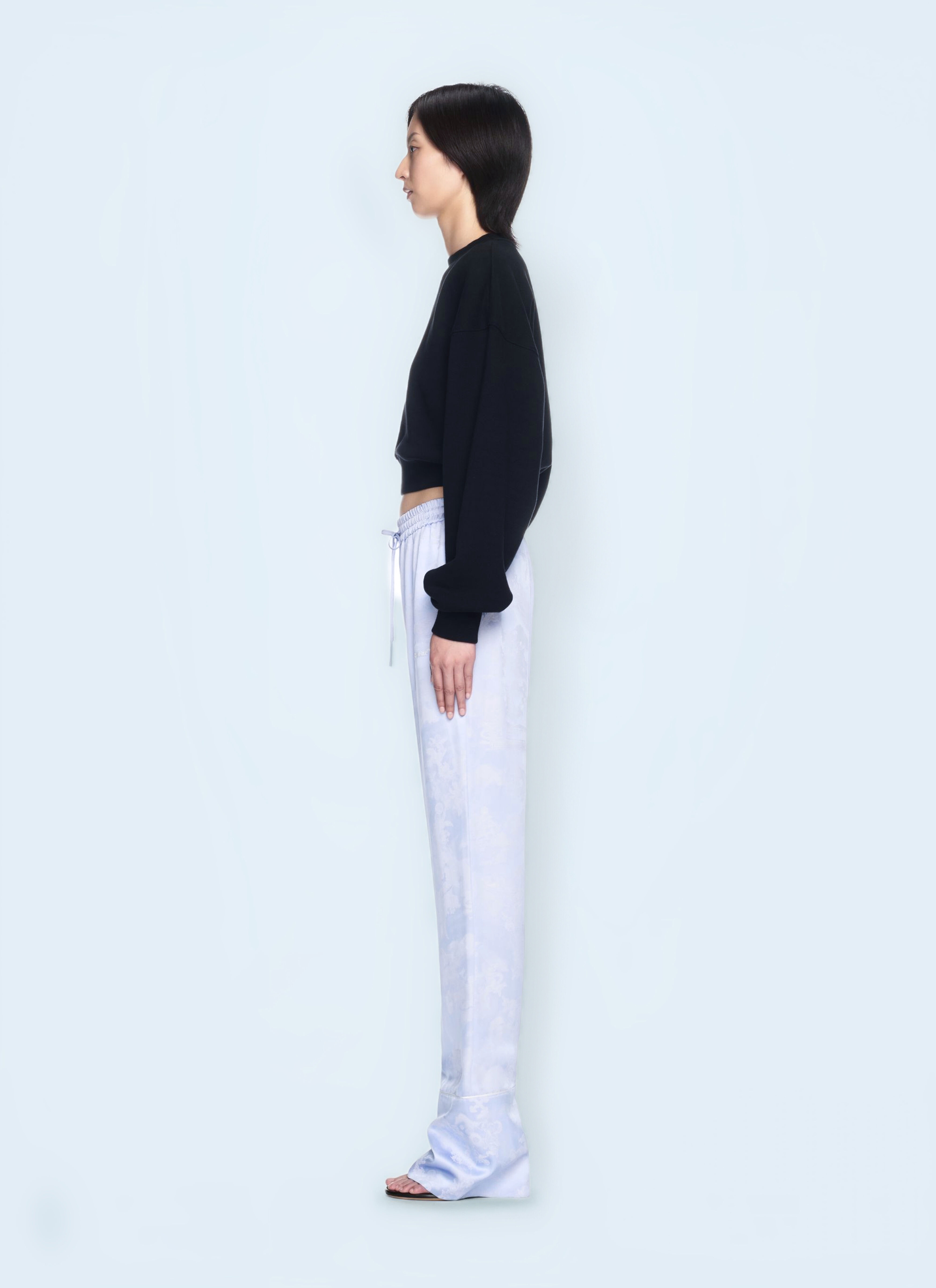 Jewel Mini Arrow Crop Sweatshirt - 2