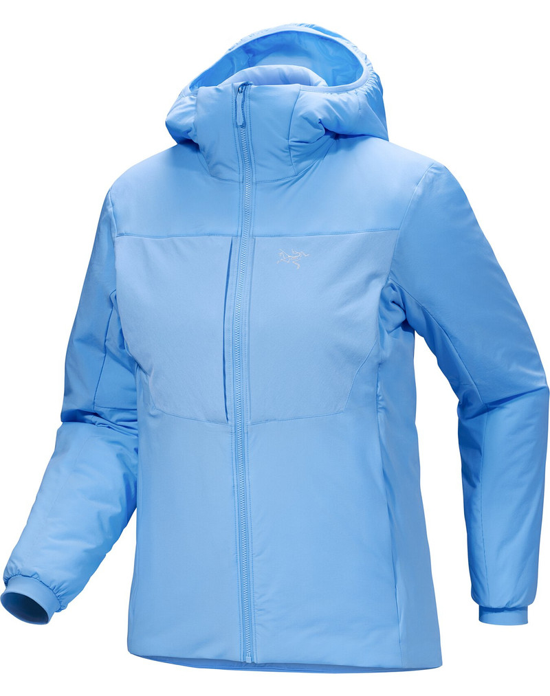 Proton Heavyweight Hoody 1