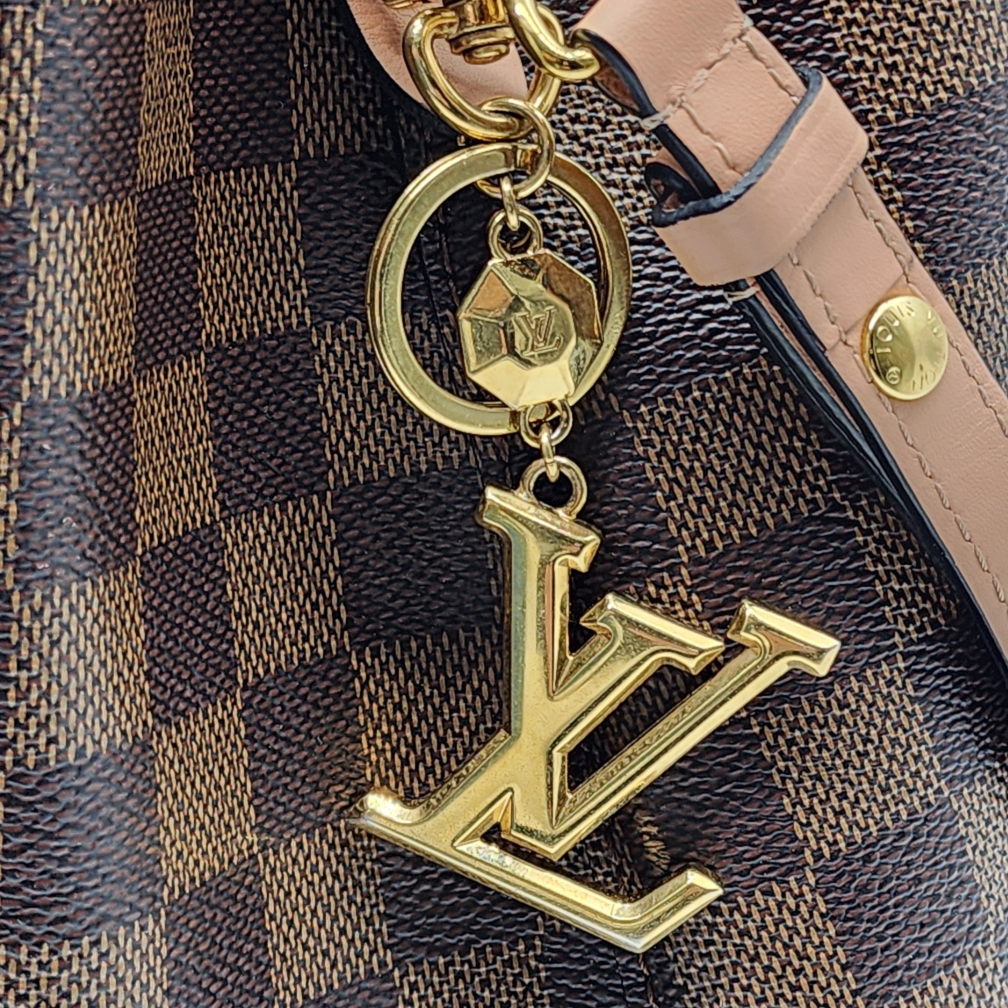 Louis Vuitton Venus Damier Canvas Neonoe Bag - 4
