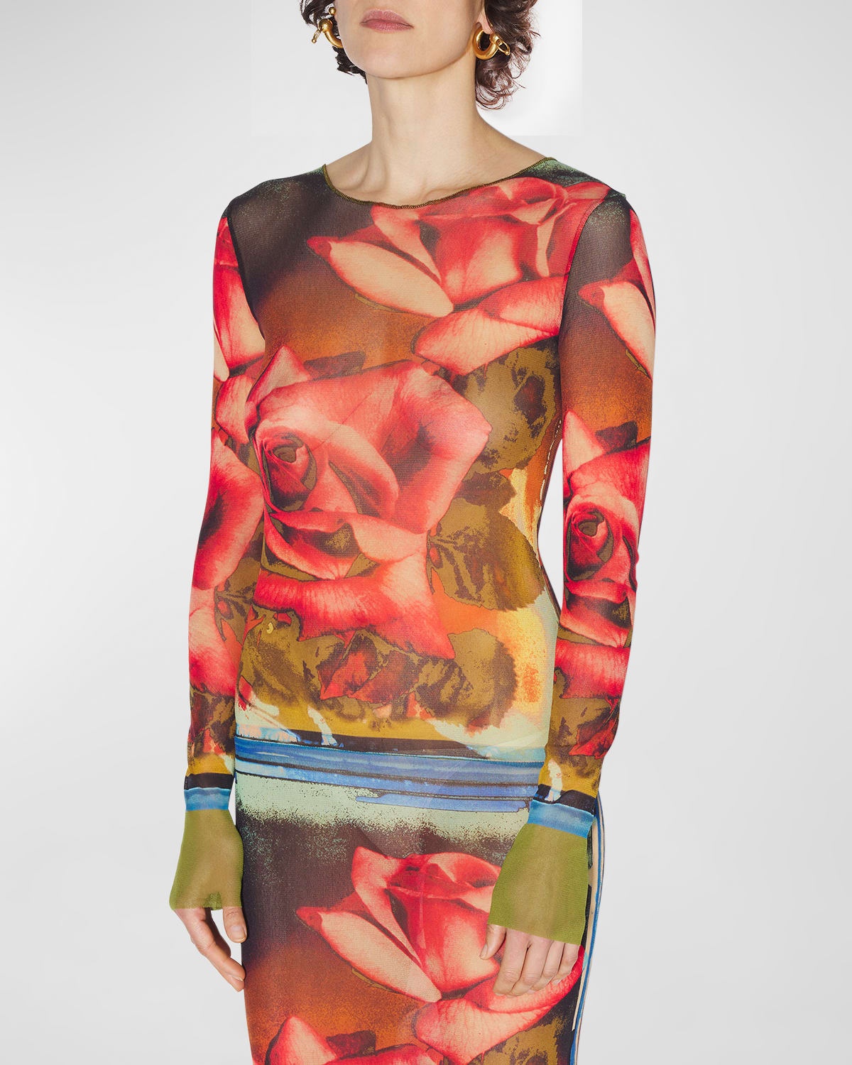 Roses-Print Long-Sleeve Mesh Maxi Dress - 6