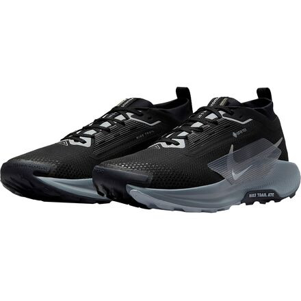 Pegasus Trail 5 GORE-TEX Running Shoe - Men's - 2