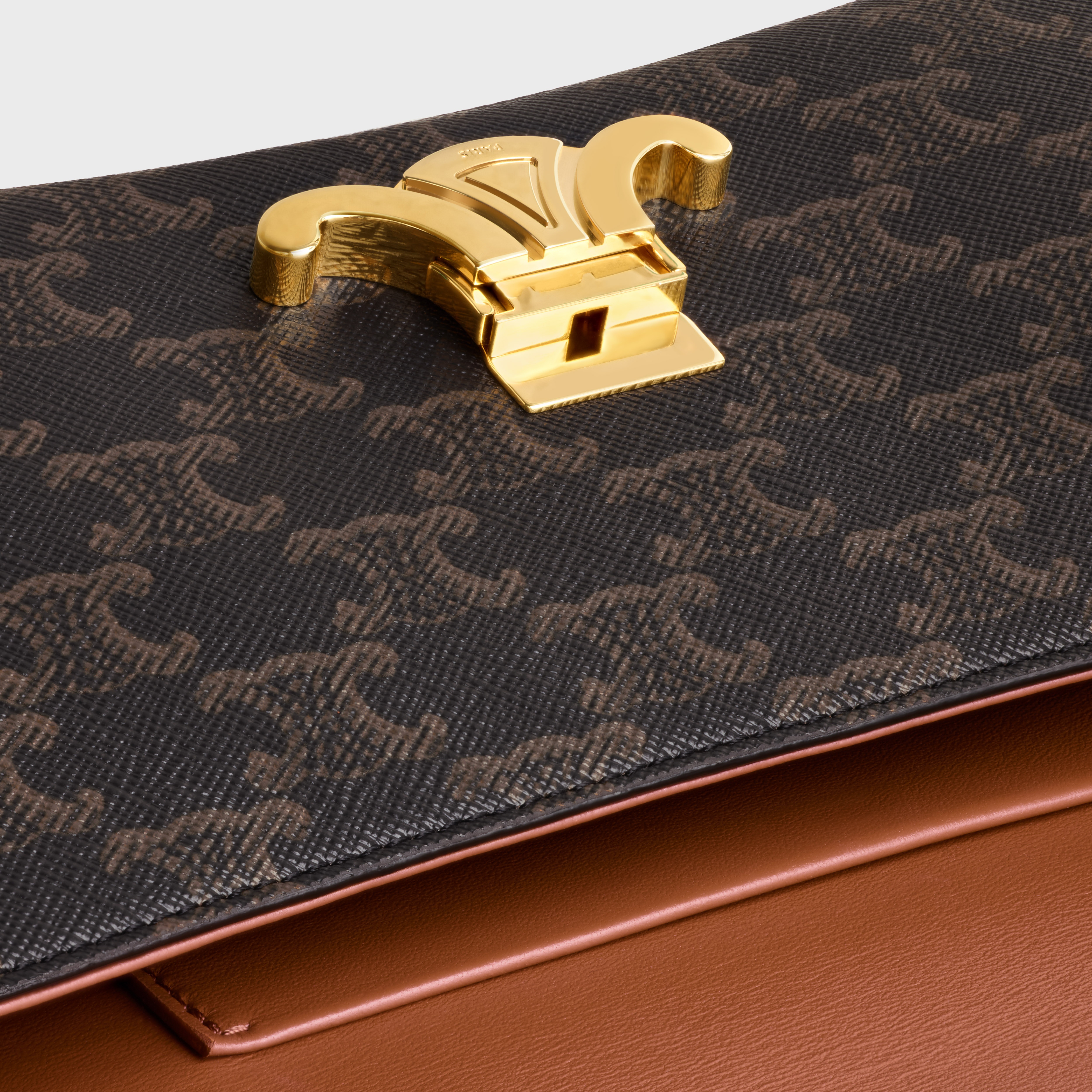 MEDIUM CELINE LOLA BAG in Triomphe Canvas and Calfskin - 4