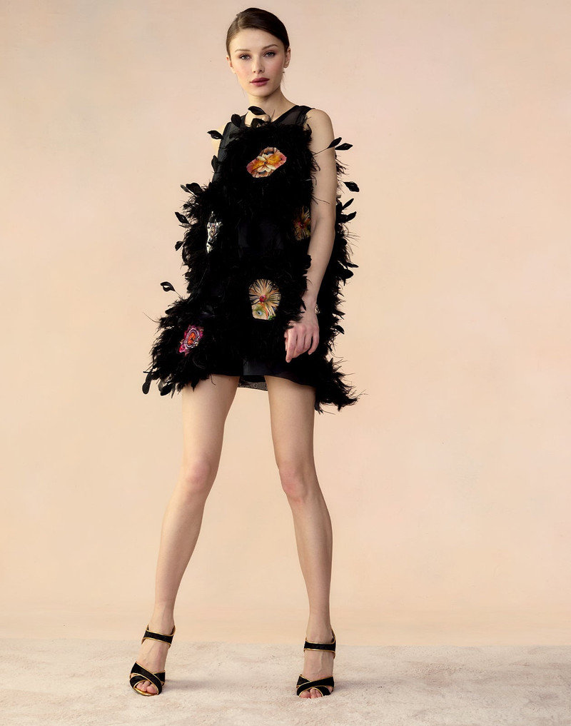 Tickle Your Fancy Dress 5