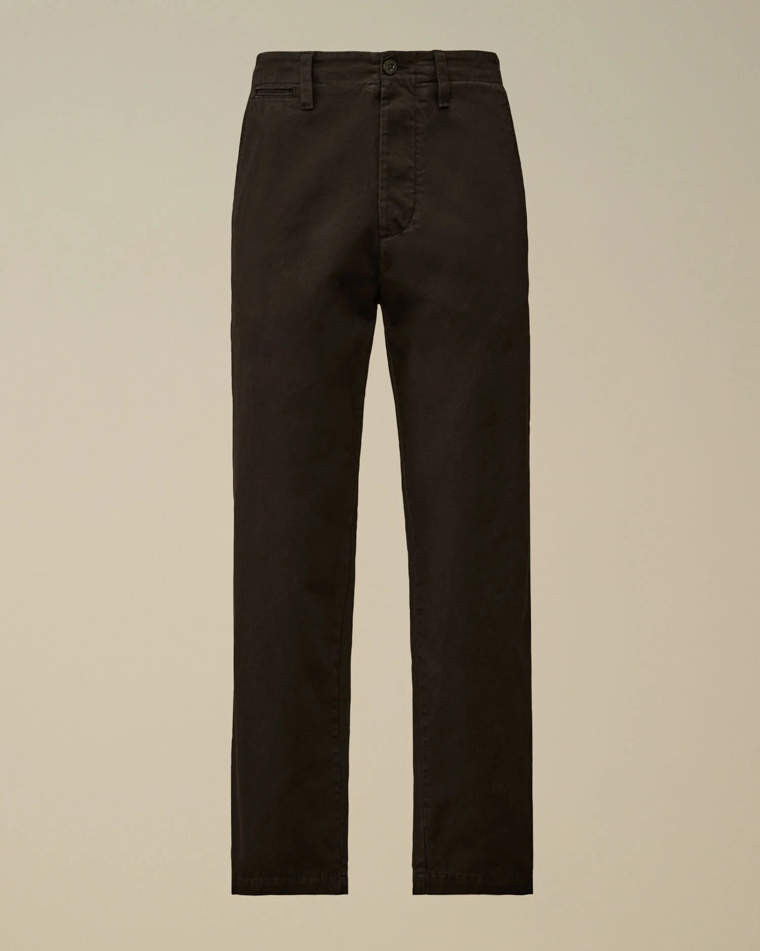 Cotton Gabardine Regular Chino Pants - 1