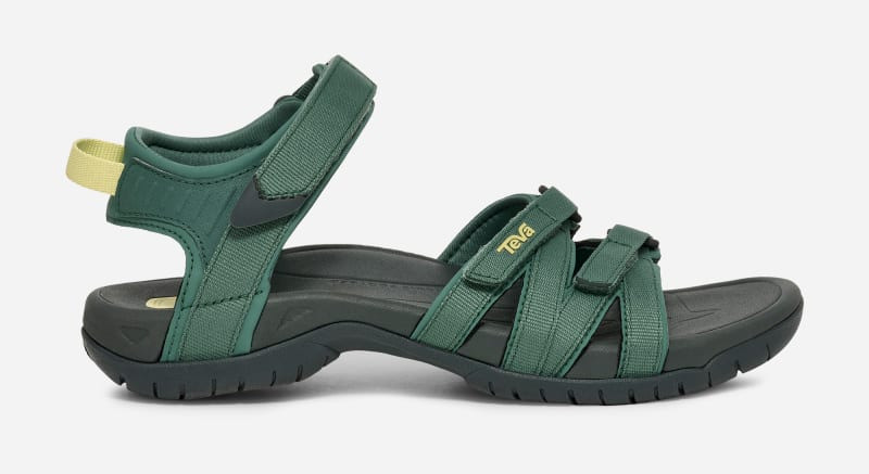 Women's Tirra Hiking Sandal in Silver Pine 1