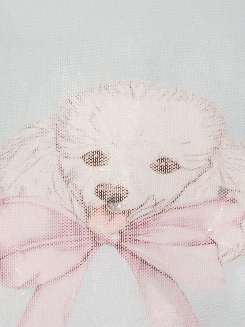 poodle-printed tulle long-sleeved t-shirt 6