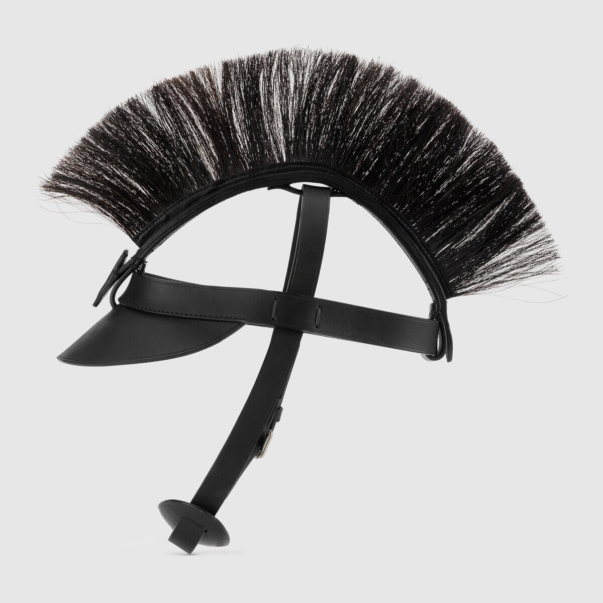 Visor with harness - 2
