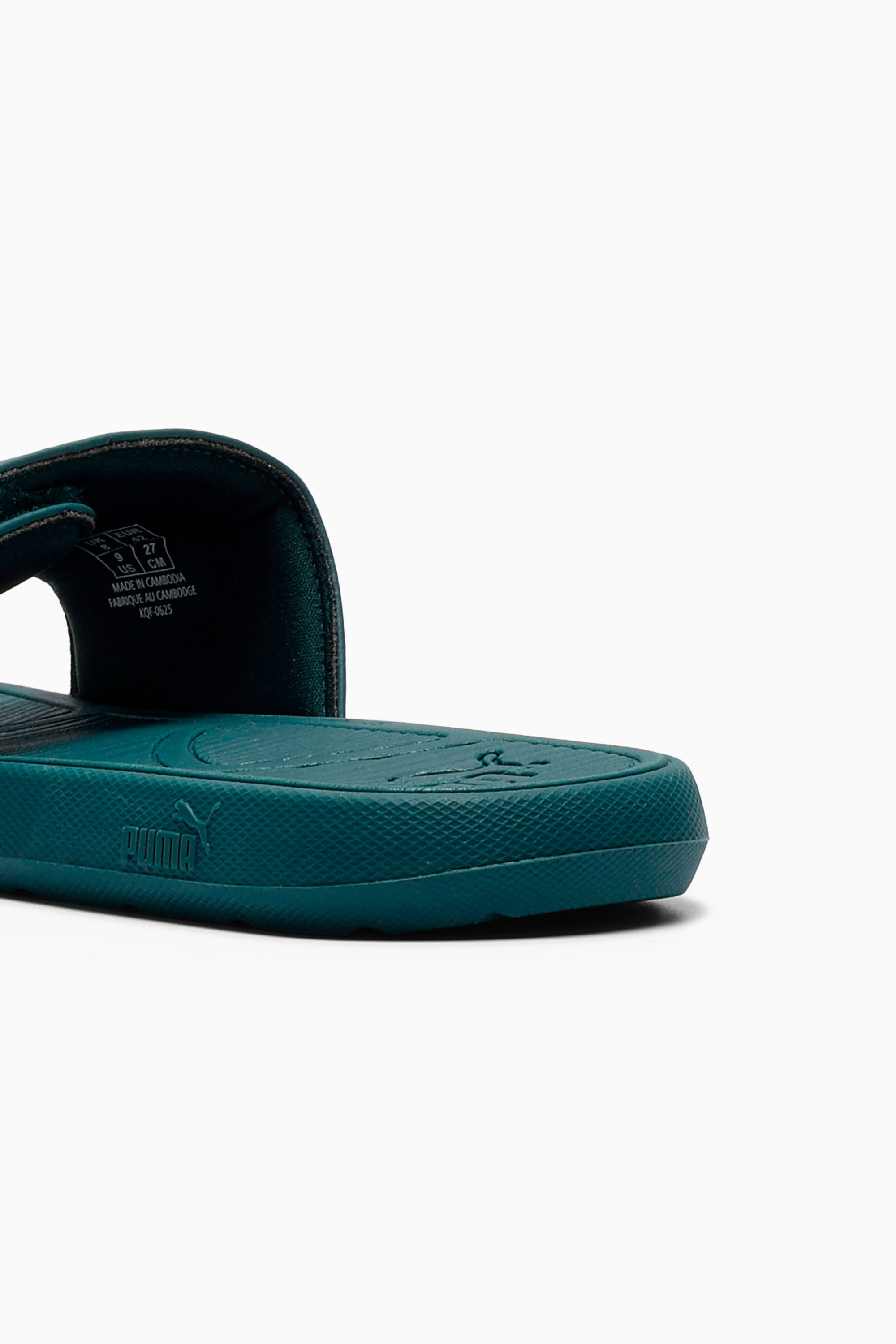 Cool Cat 2.0 Slides - 3