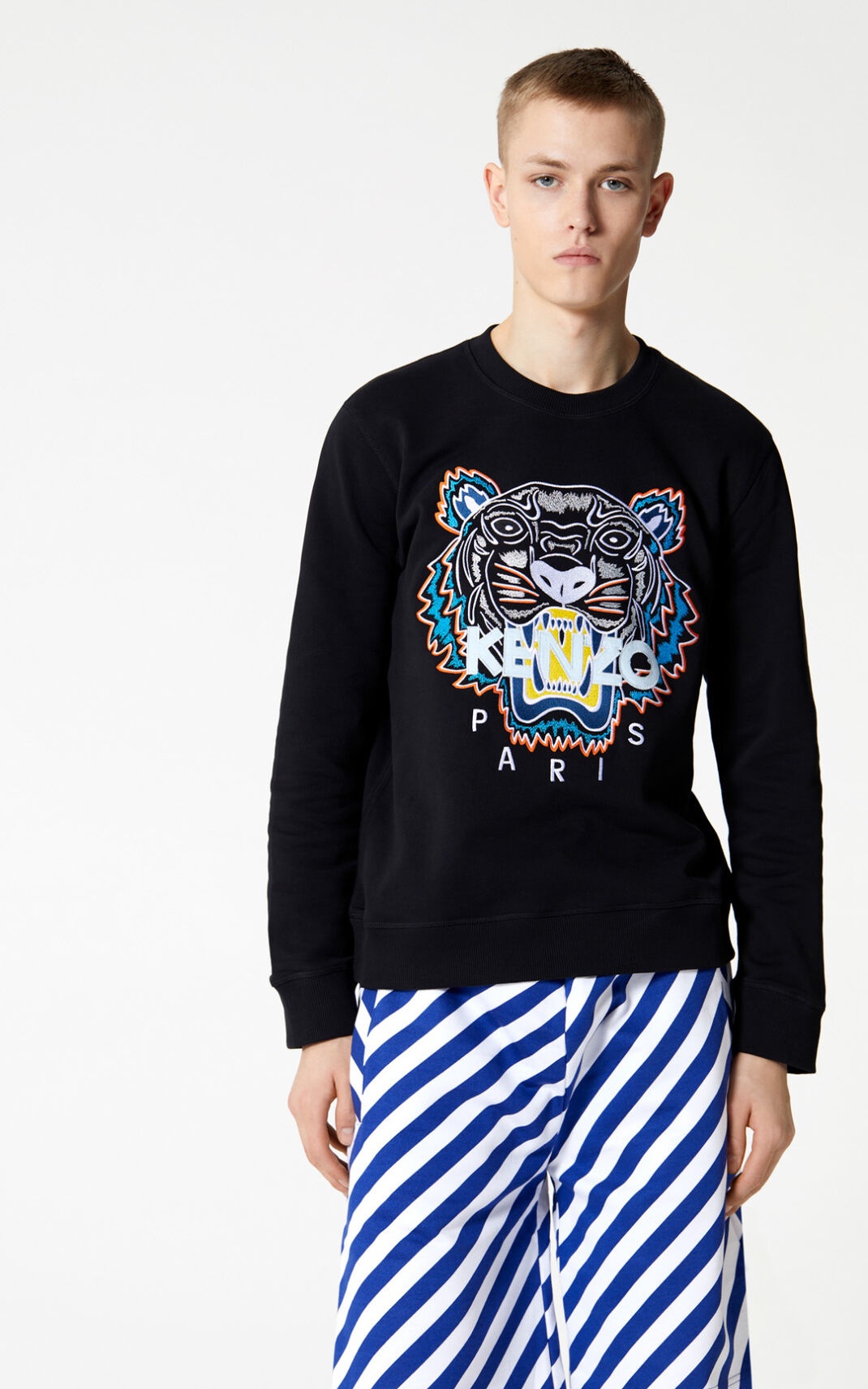 Tiger Sweatshirt - 3