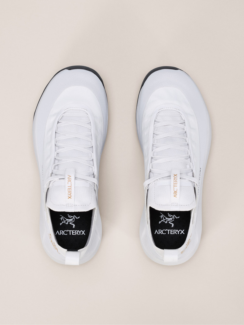 Vertex Alpine GTX Shoe 3