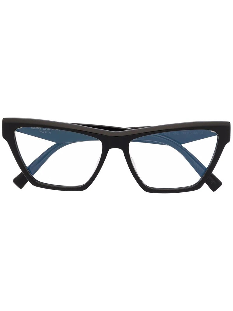 wayfarer-frame glasses 1