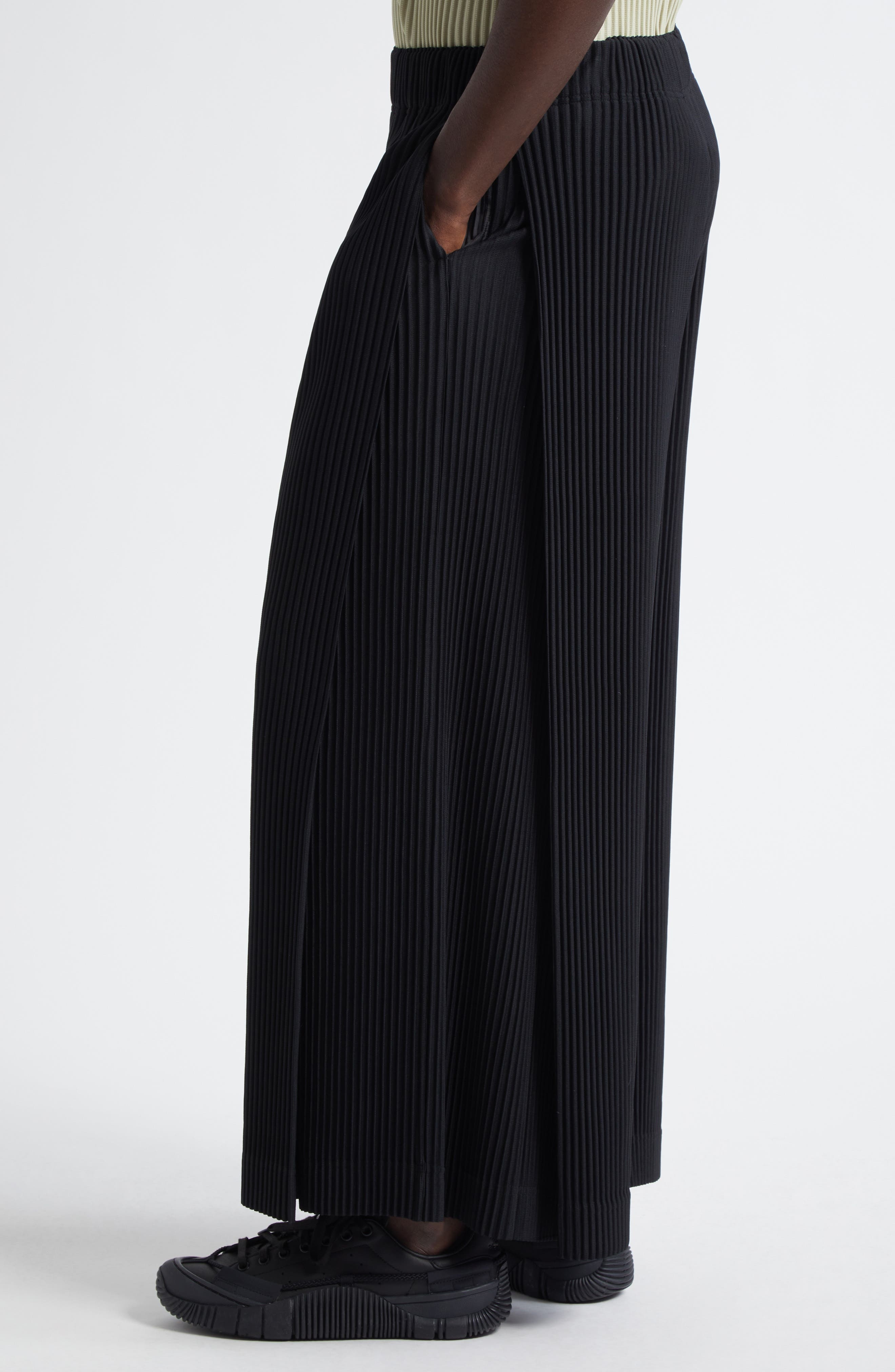 Homme Plissé Issey Miyake Monthly Colors May Pleated Wide Leg Pants in Black at Nordstrom - 5