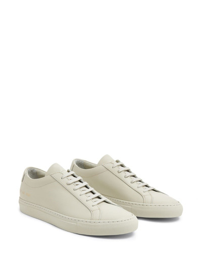 Common Projects low-top leather sneakers outlook