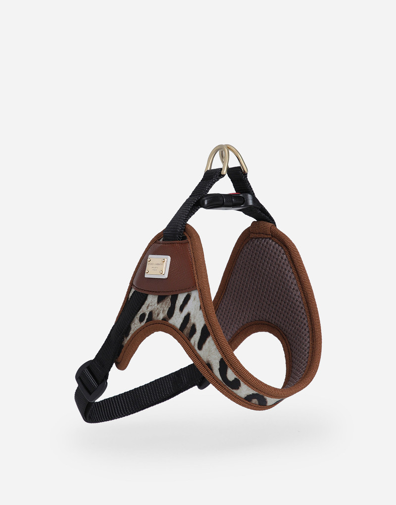 Dog harness 1
