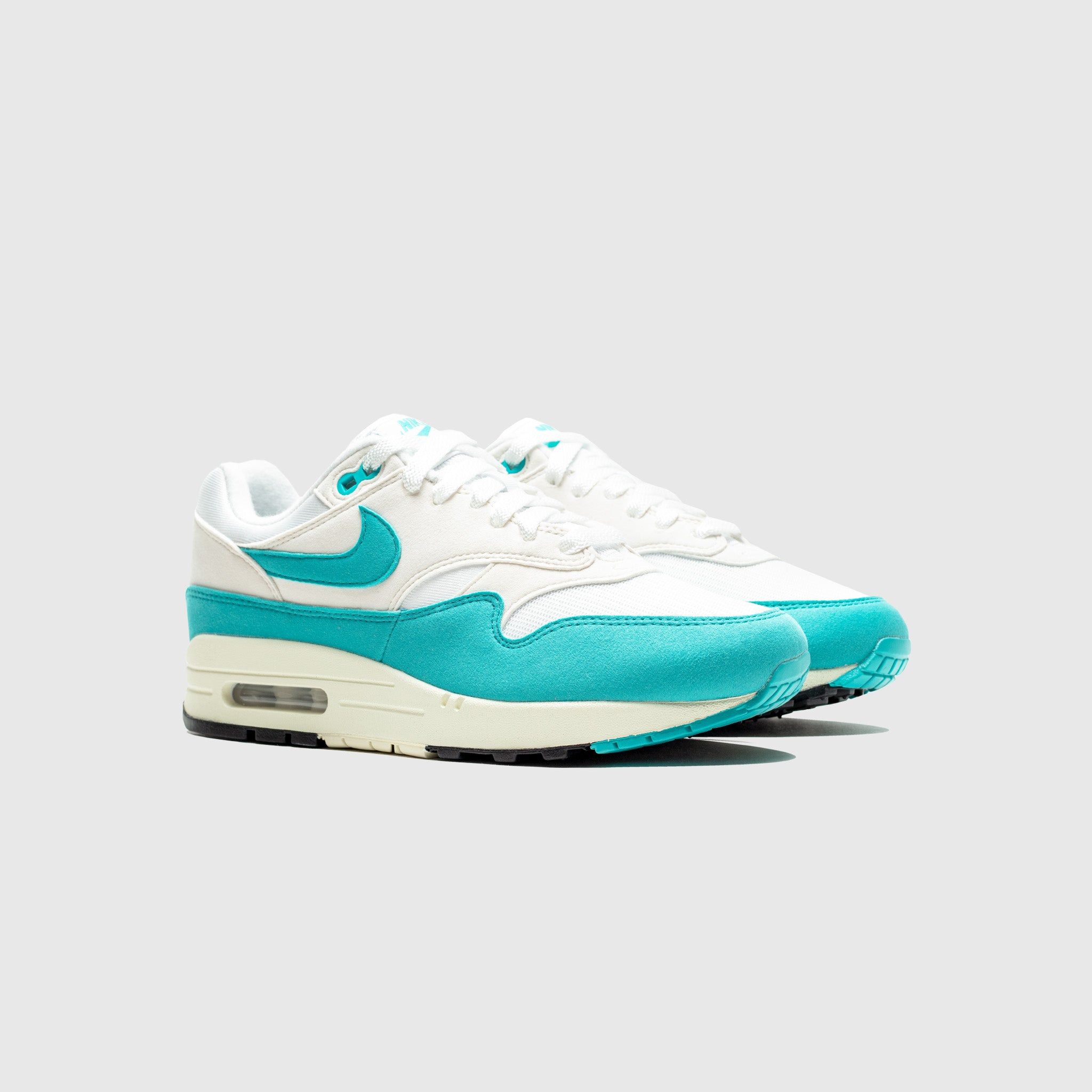 WMNS AIR MAX 1 "DUSTY CACTUS" - 2