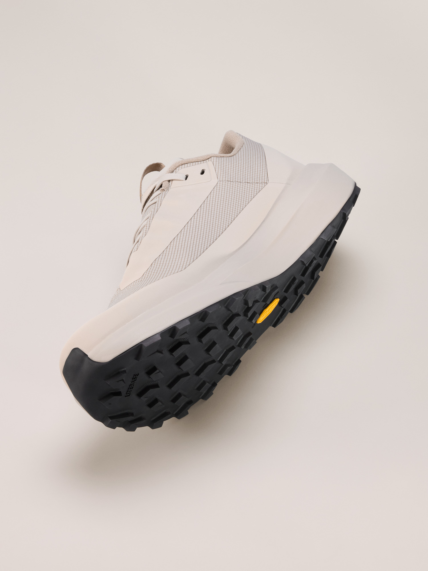 Norvan LD 4 GTX Shoe - 5