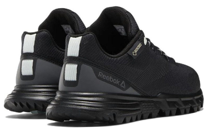 Reebok (WMNS) Reebok Sawcut 7.0 Gtx DV6457 outlook