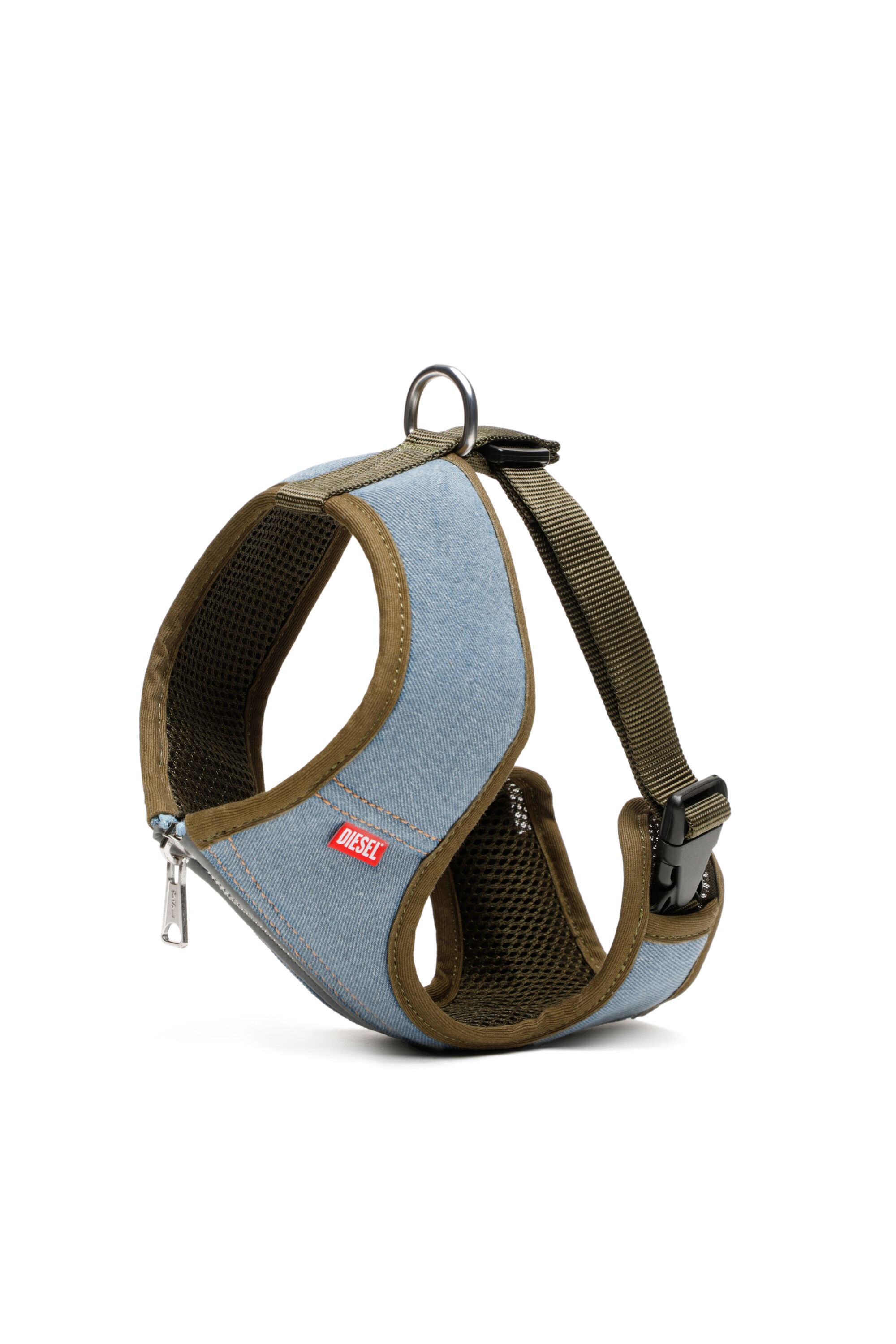 PET-TORINA - 3