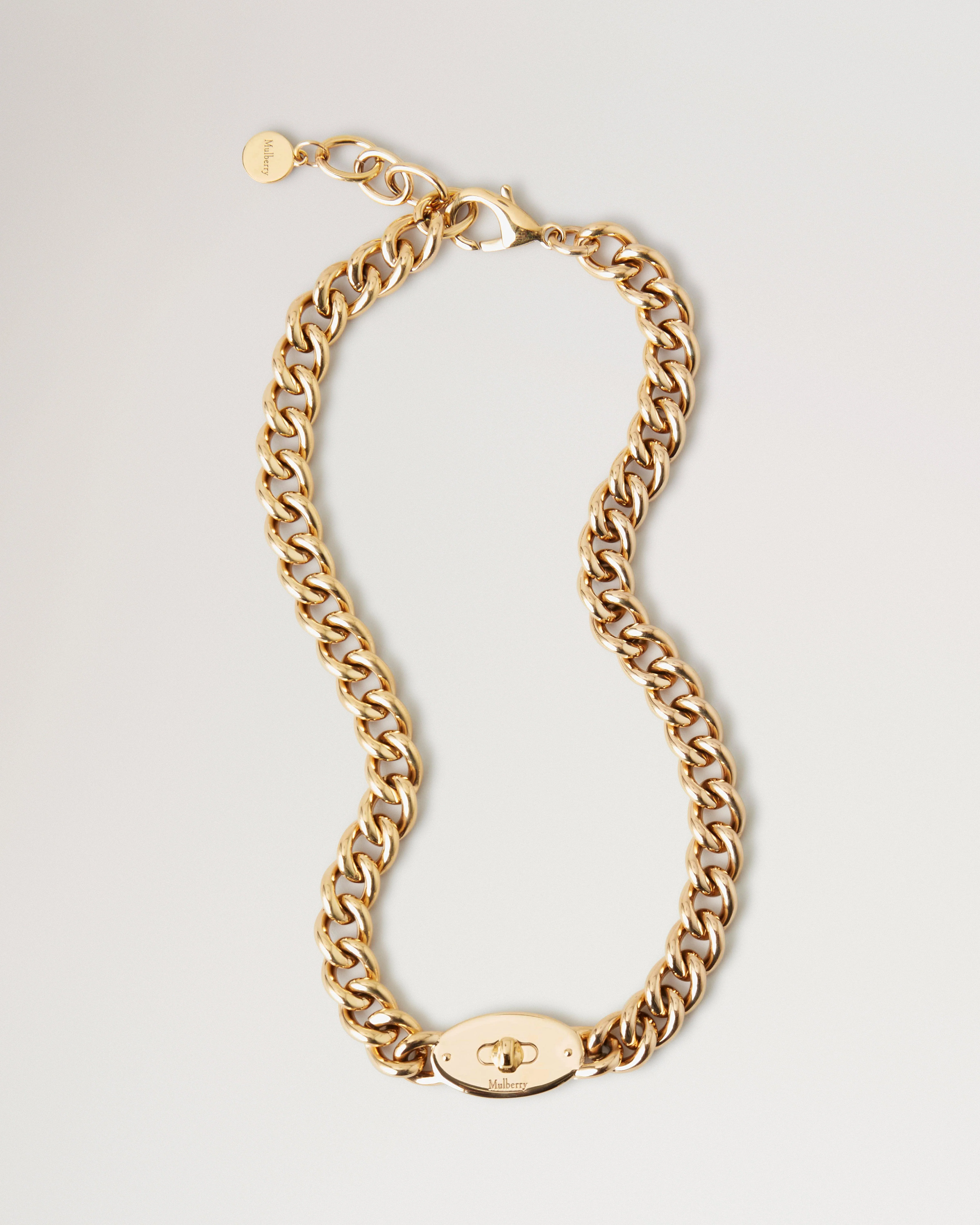 Bayswater Chunky Chain Necklace
Gold Stainless Steel - 1