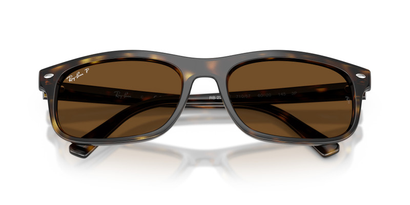 Ray-Ban RB2224 outlook