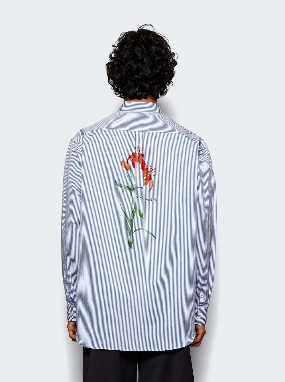 Printed Regular Fit Poplin Shirt Blue And White - 5