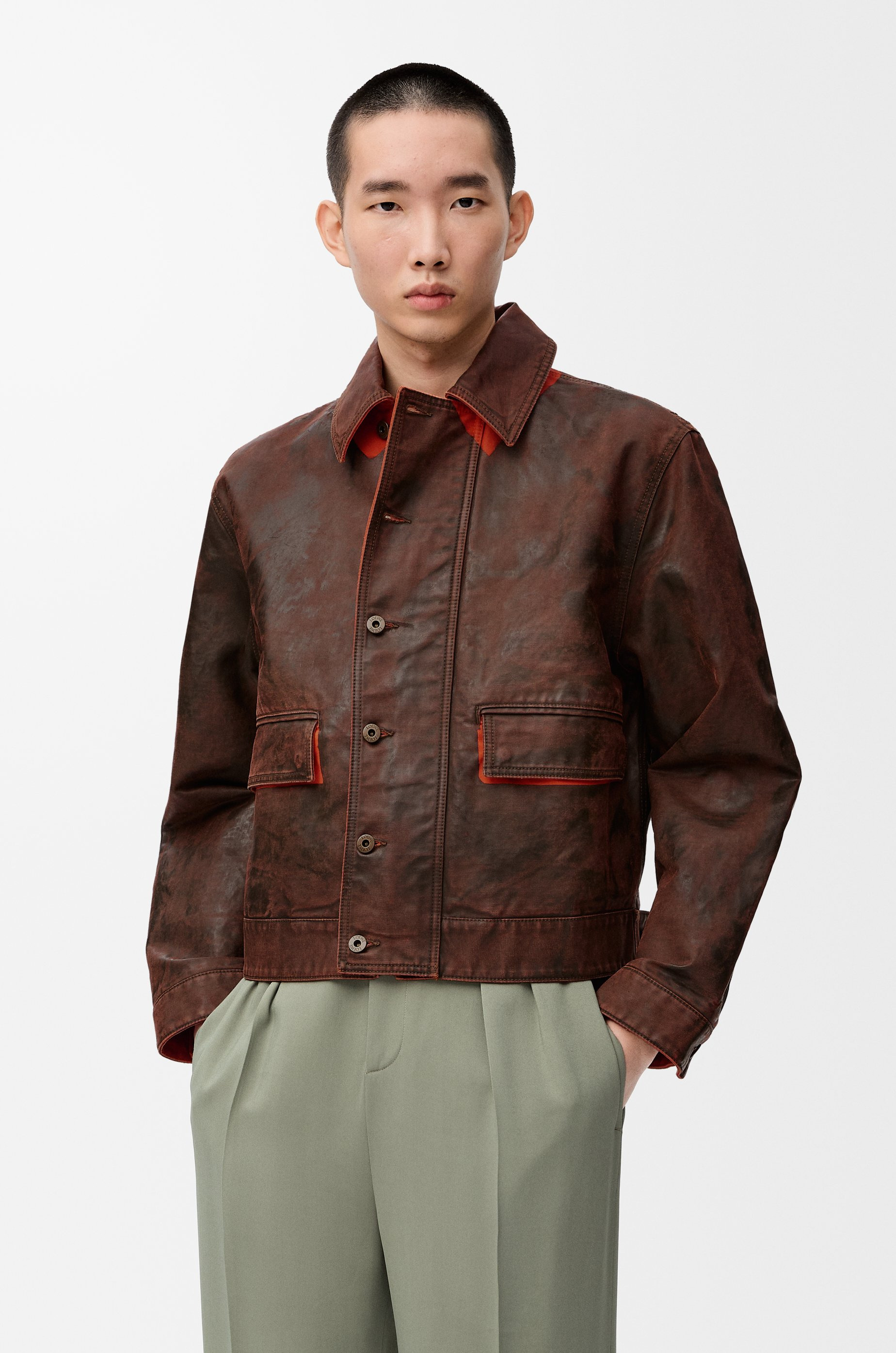 Jacket in cotton - 3