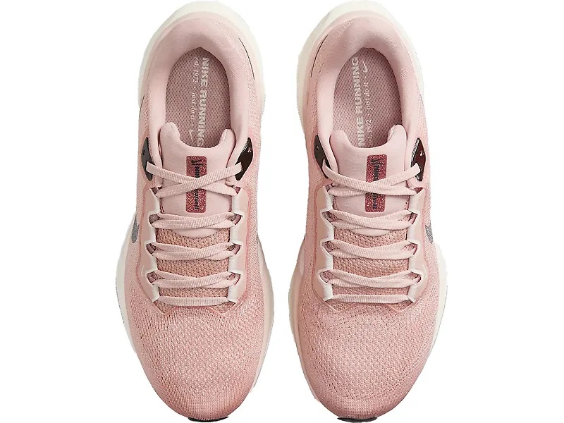 Nike Pegasus Premium 41 - 4