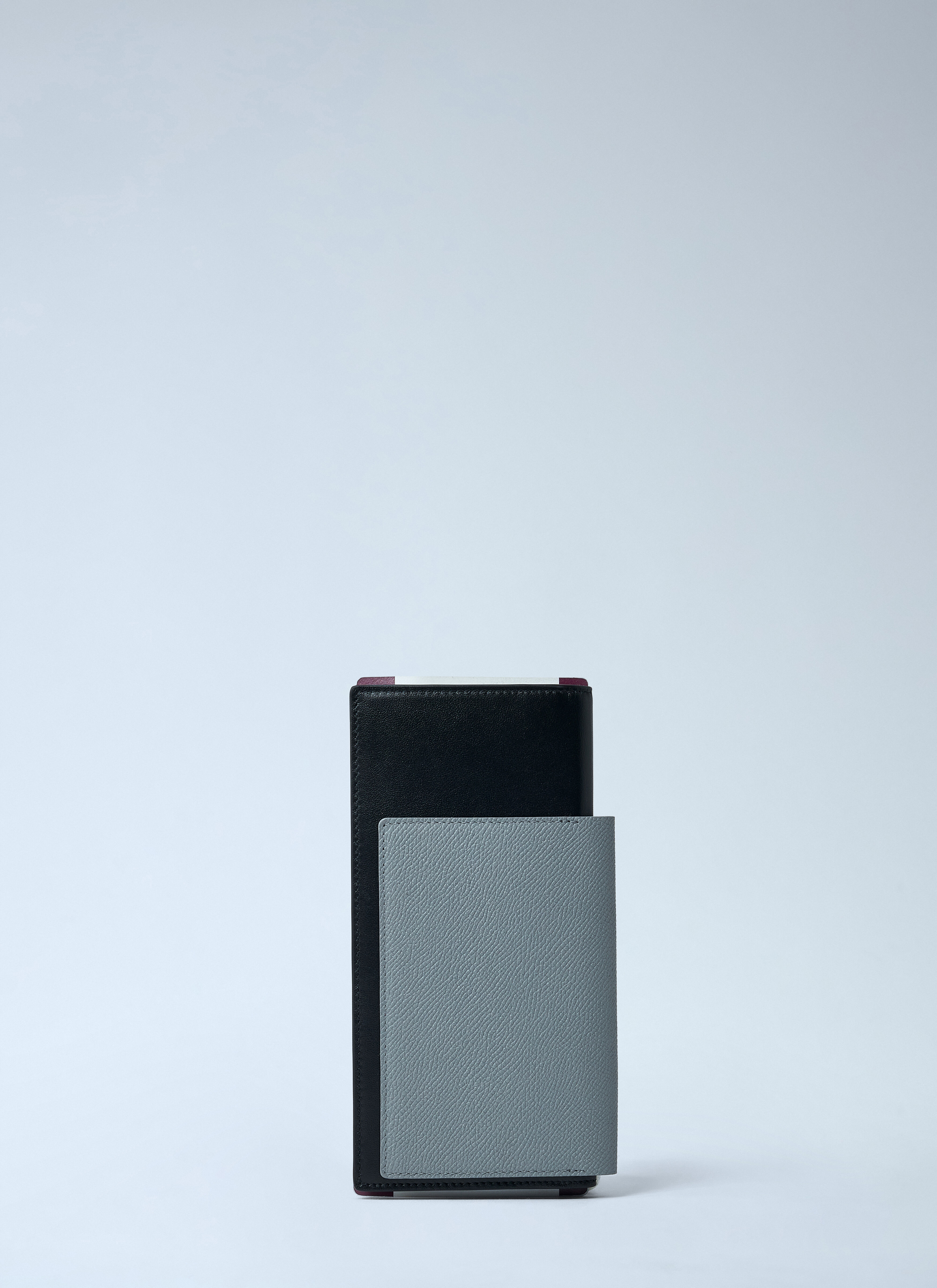 Passport Long Wallet - 5