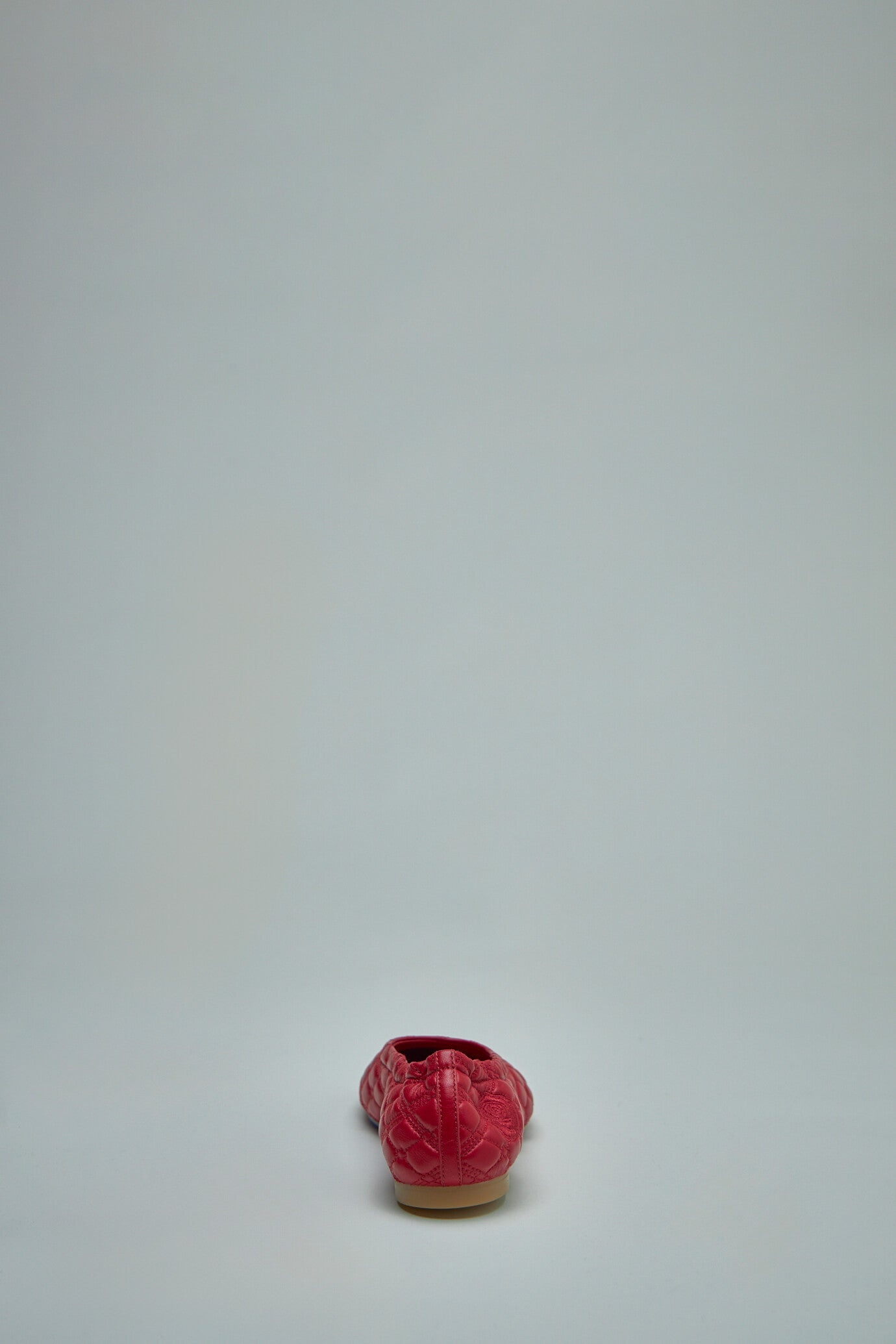 Leather Sadler Ballerinas - 4