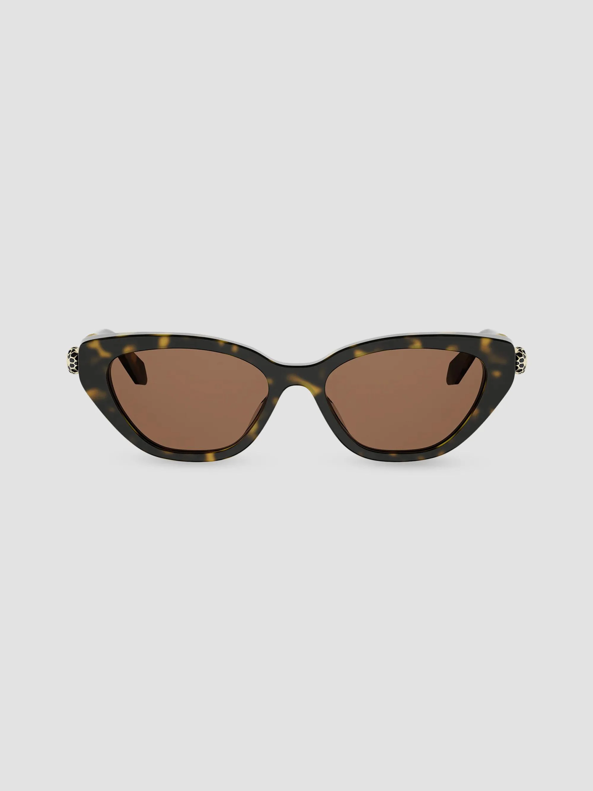 Women's Serpenti Forever 52MM Cat-Eye Sunglasses - Brown - 1