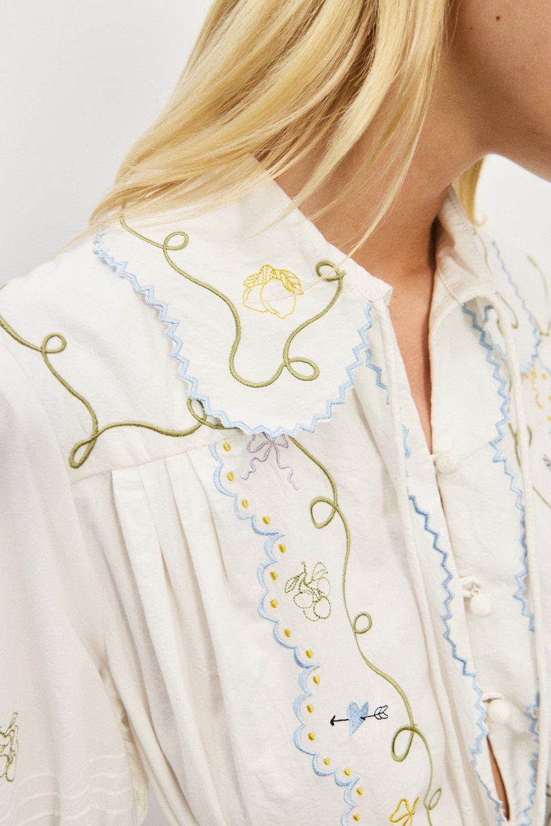 Giulia Embroidered Mini Dress 5