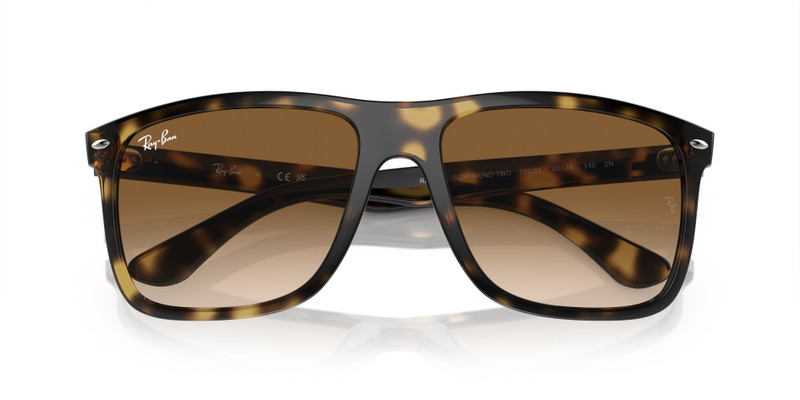 Ray-Ban BOYFRIEND 두 outlook