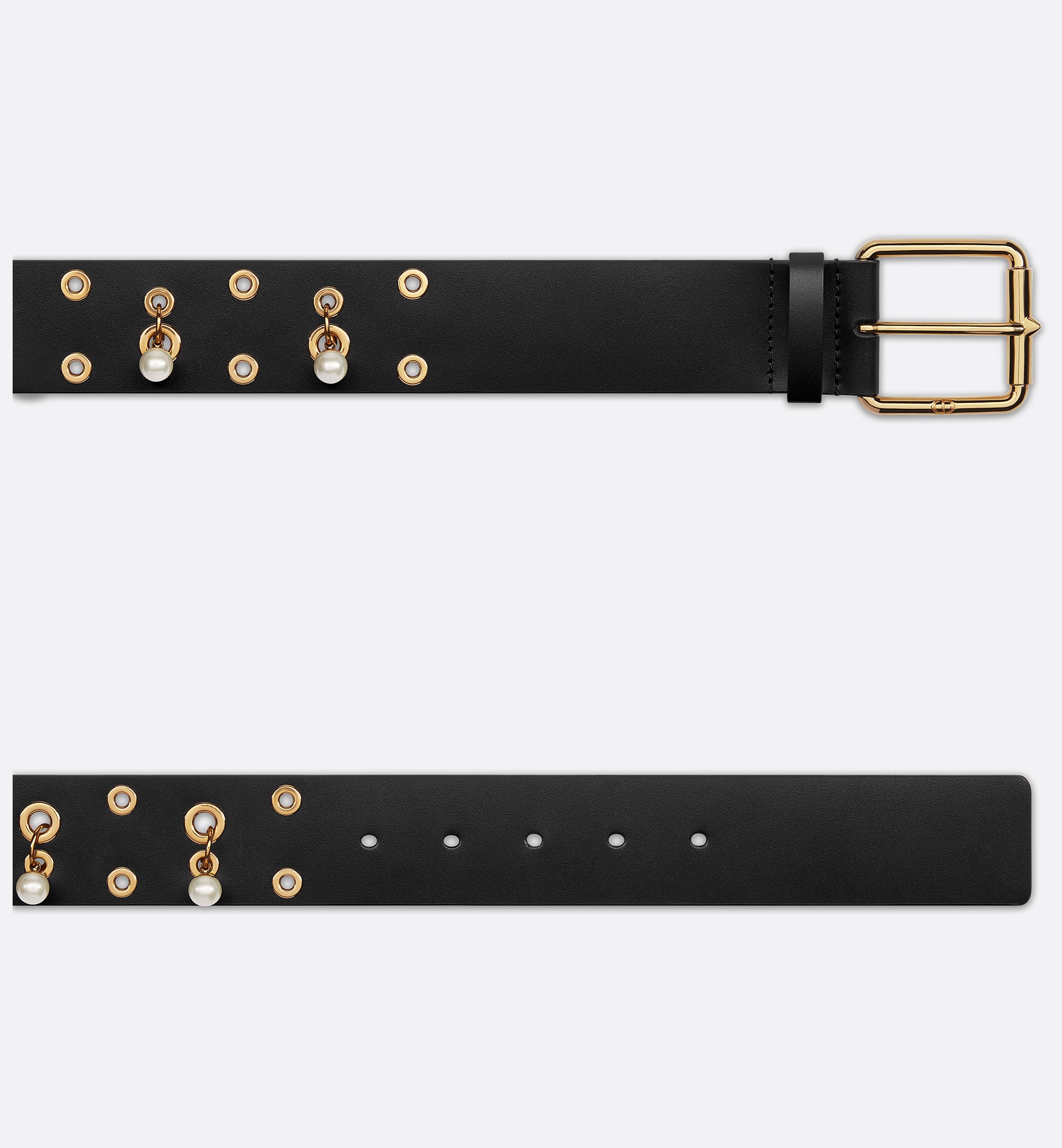 Diorevolt Belt - 4