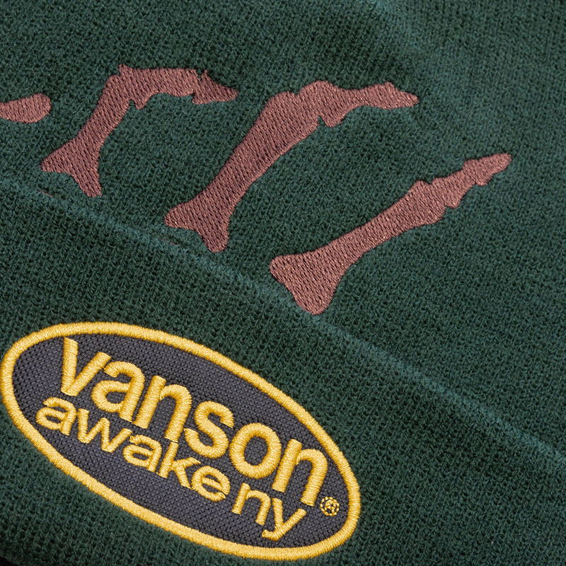 AWAKE NY VANSON BONES BEANIE - GREEN outlook