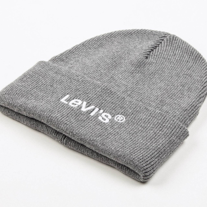 BEANIE WITH WORDMARK LOGO 3