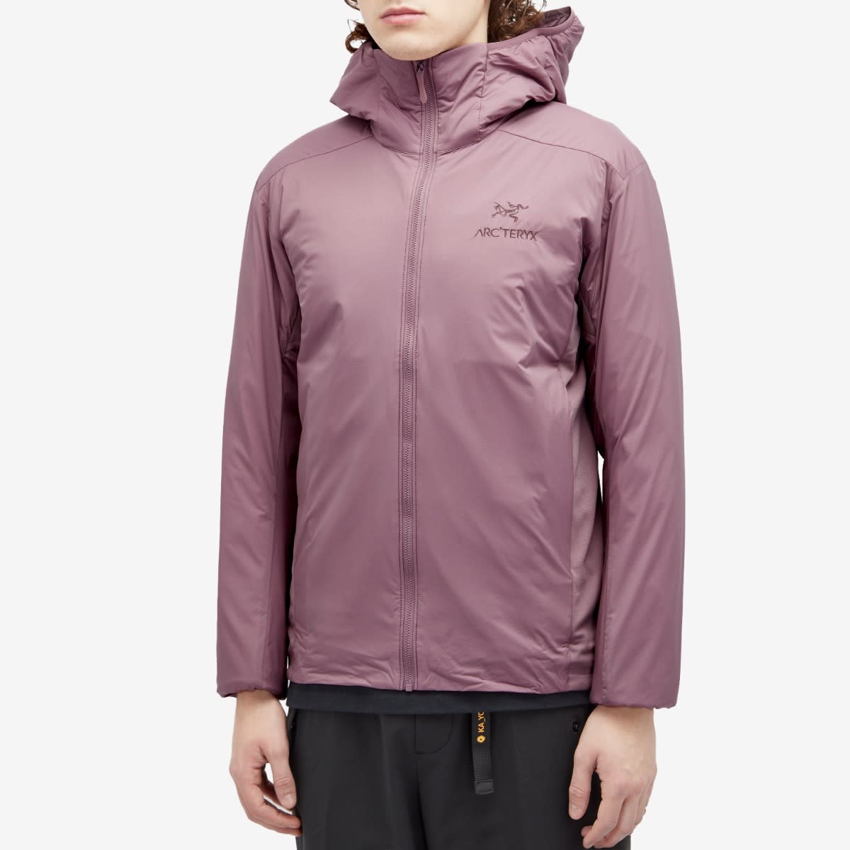 Arc'teryx Atom Hoodie Jacket - 2