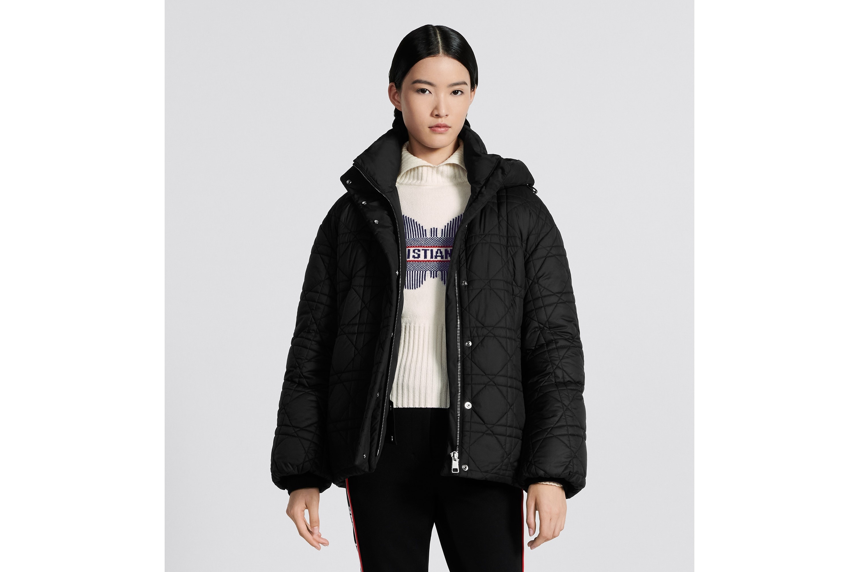 DiorAlps Macrocannage Hooded Puffer Jacket - 2
