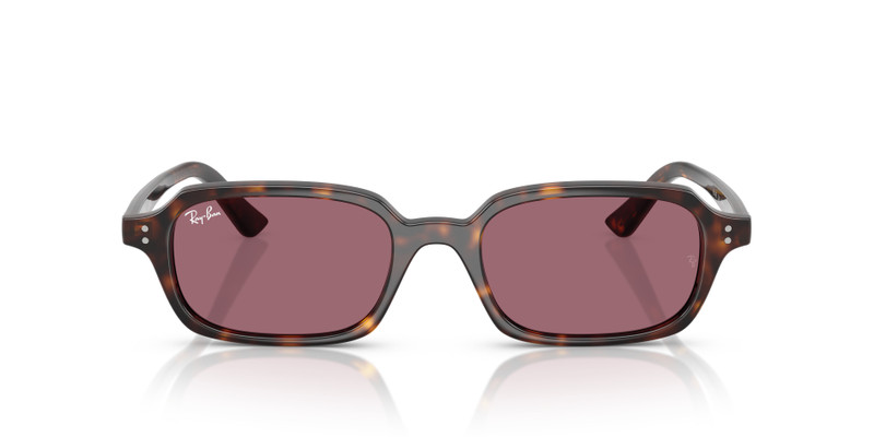 ZURI BIO-BASED LIMITED 4