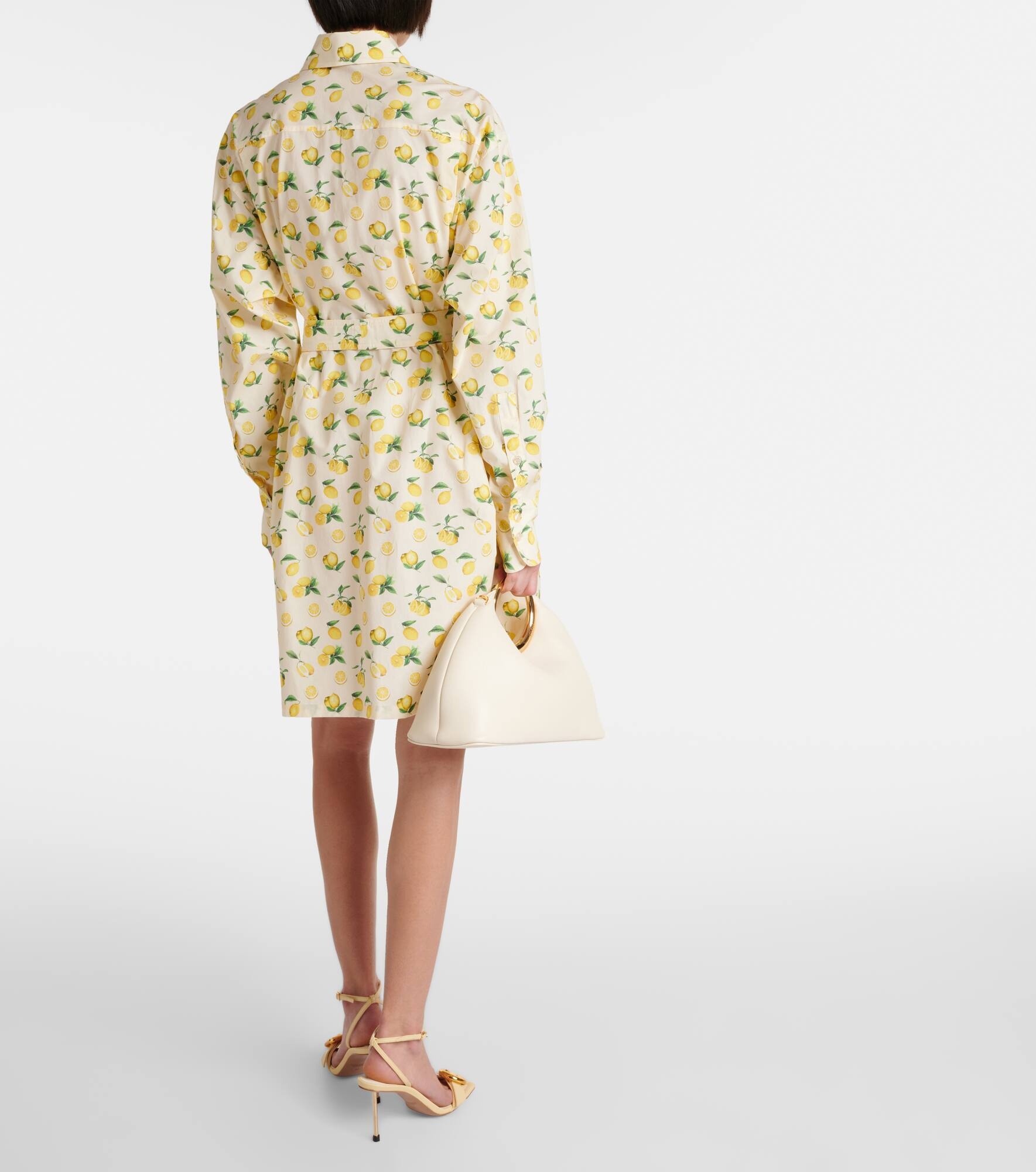 Boero printed cotton shirt dress - 3